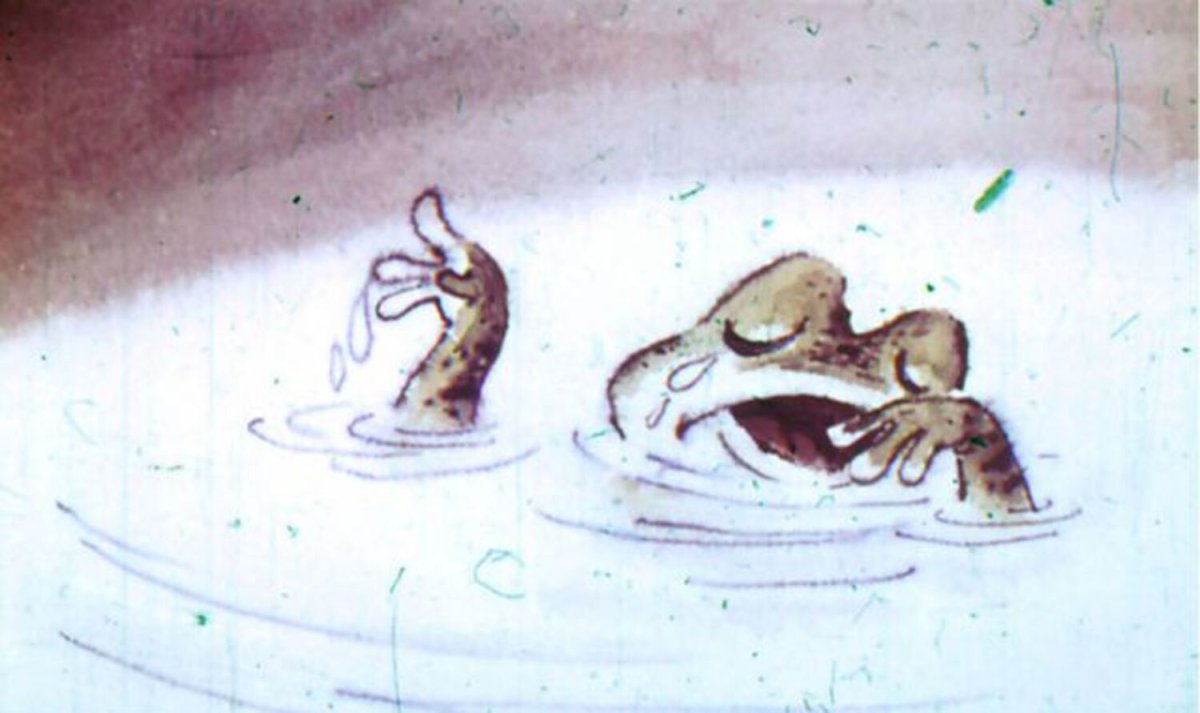 Иллюстрации две лягушки Пантелеев диафильм