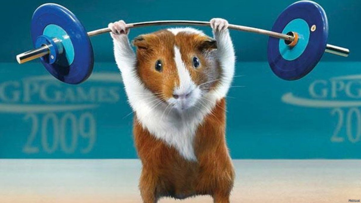 Хомяк со штангой