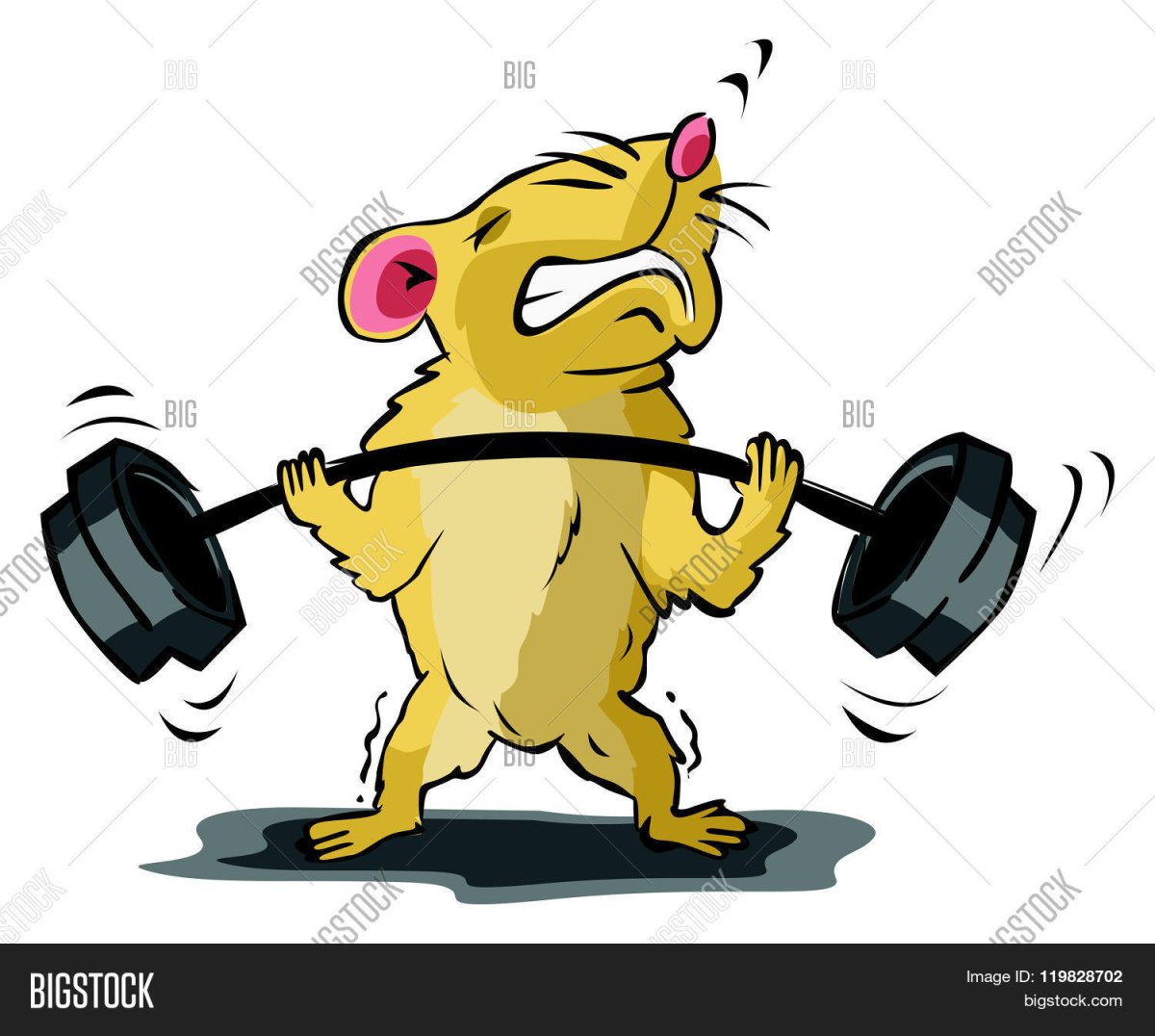 Мышь со штангой