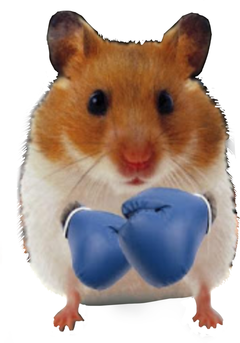 Хомяк качок