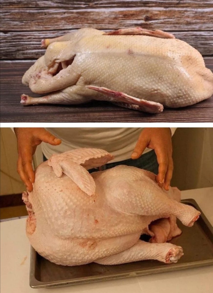 Утка-Гусь Мулард