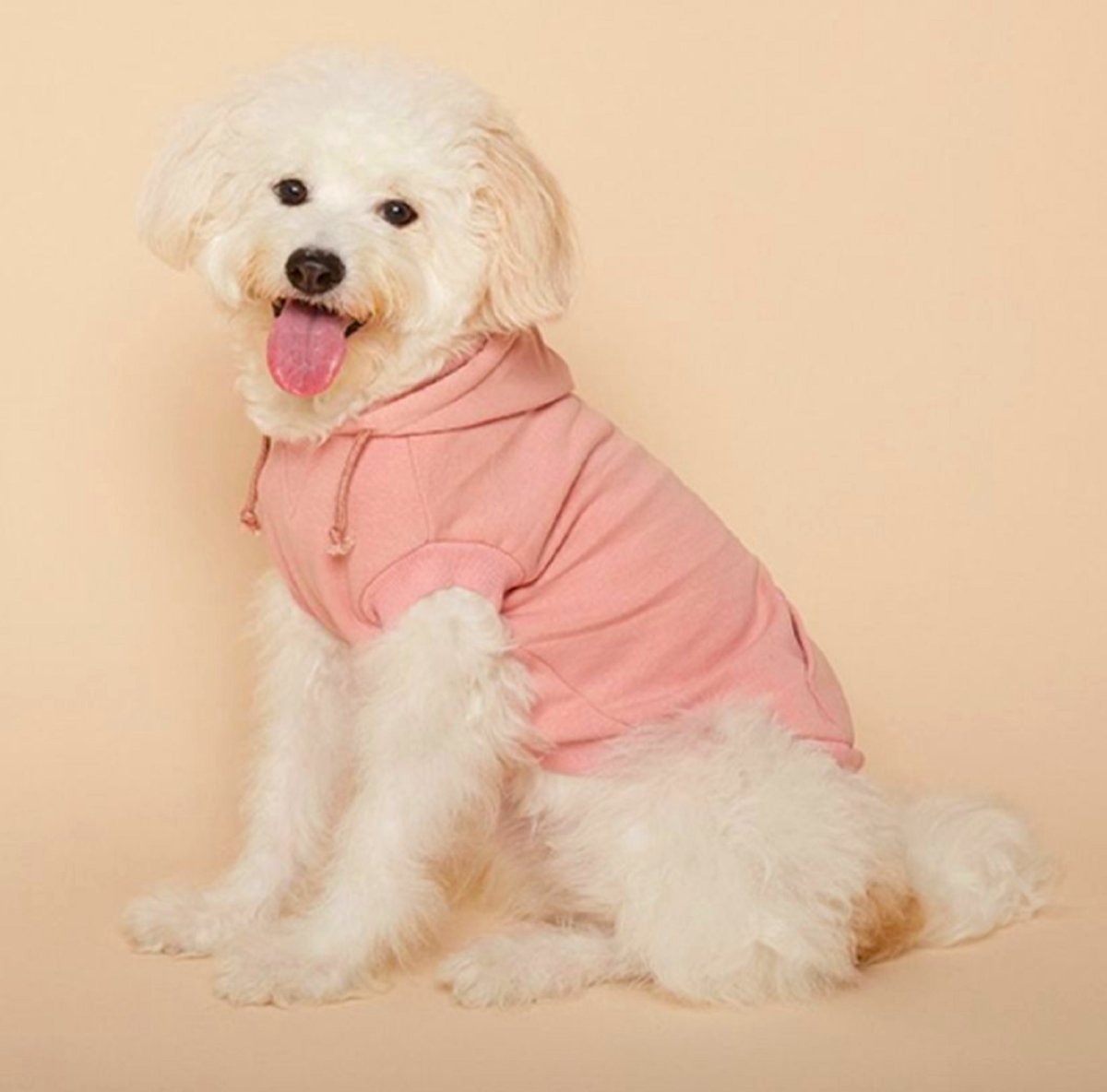 Puppy Gallery куртка "Марэ" с воротником Вишневая