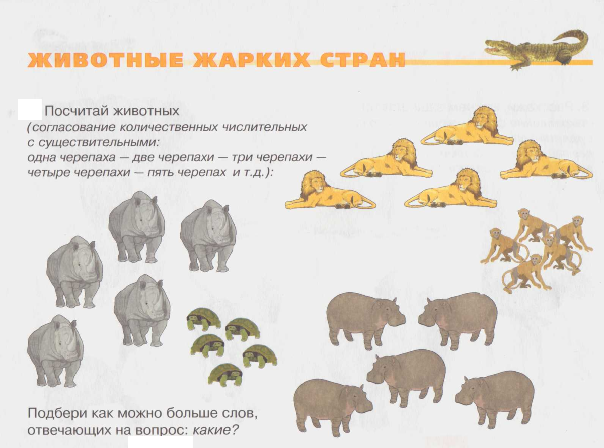 Животные жарких стран задания