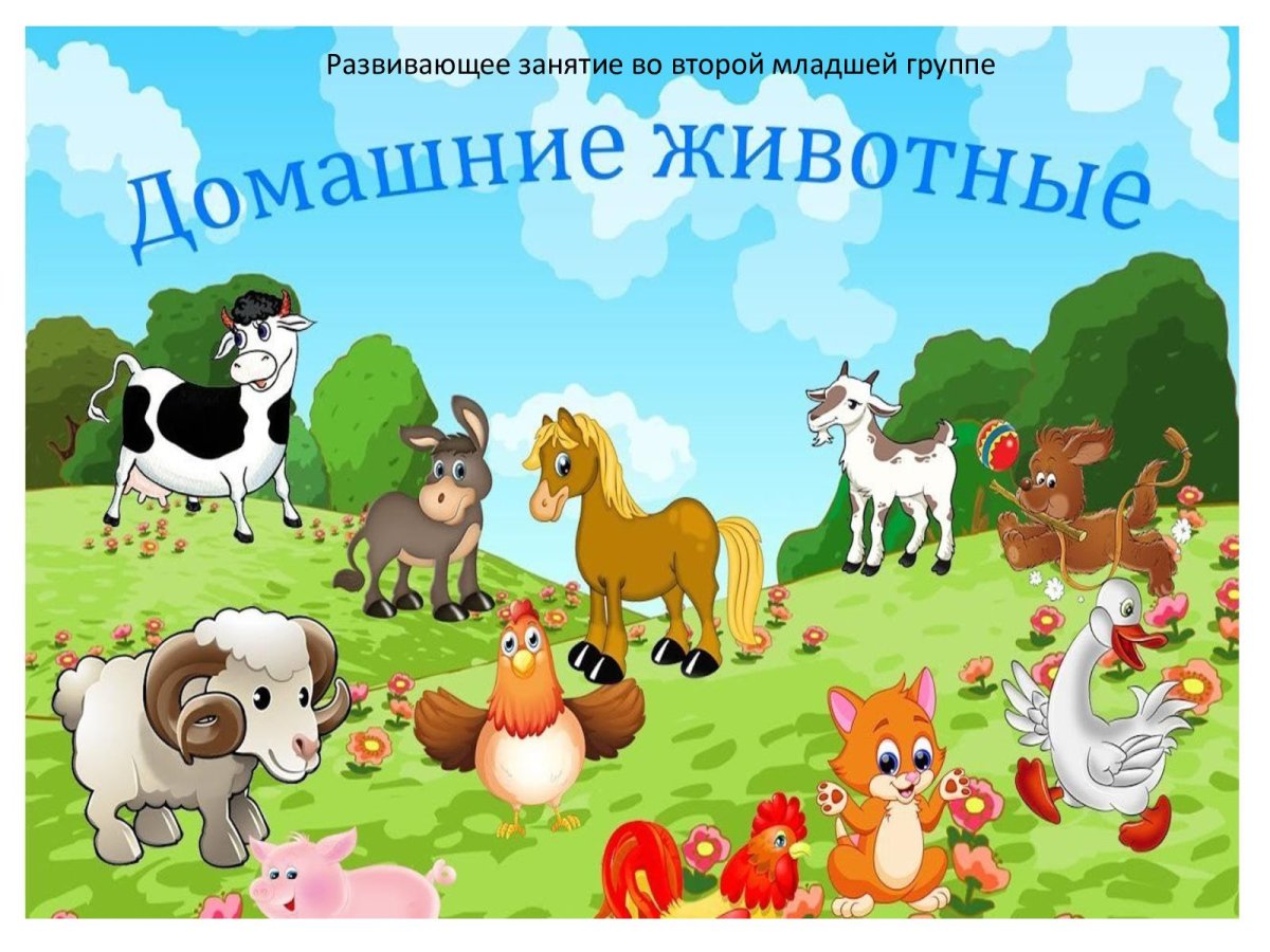 Обложка домашние животные для детей