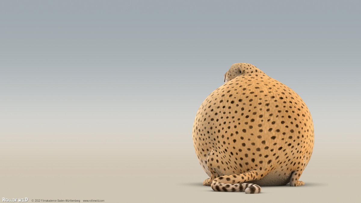 Круглое сафари - Rollin-Safari