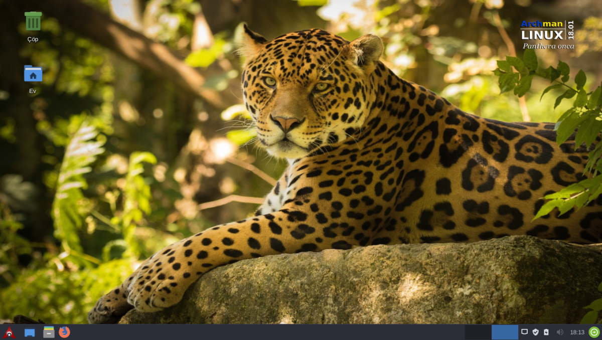 Ягуар в Мексике