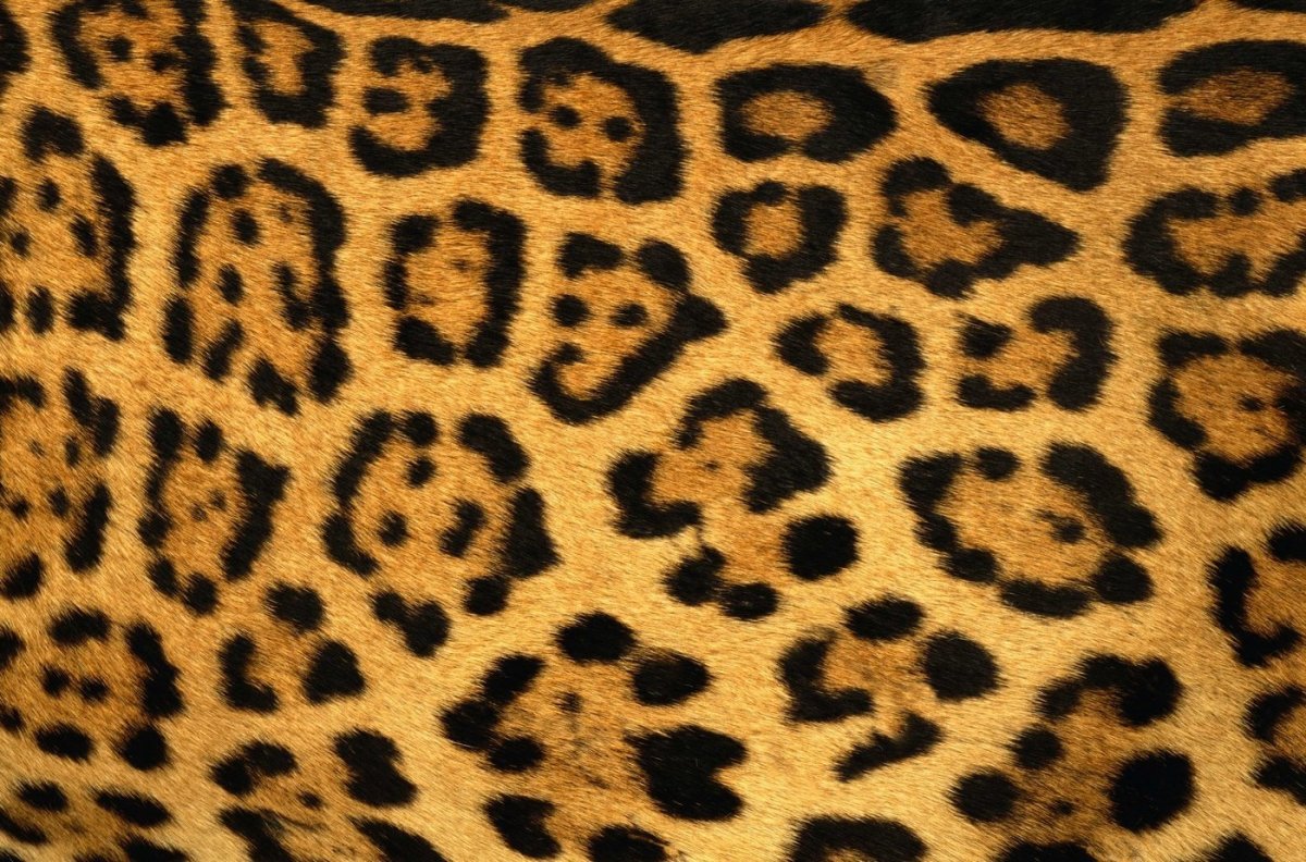 Леопард паттерн