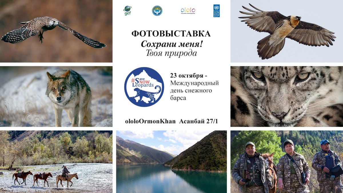 Животные и птицы Кыргызстана