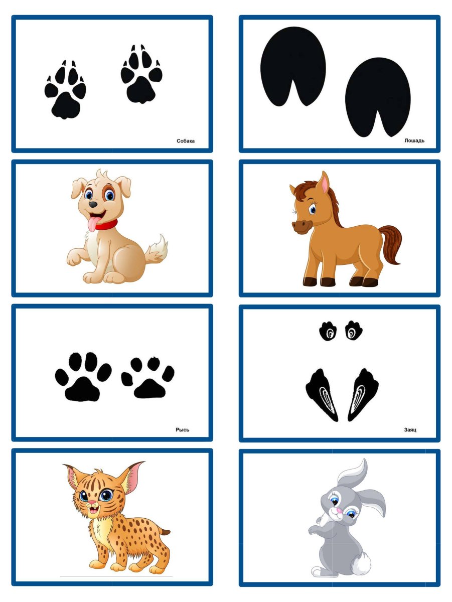 Отгадай чей след игра для детей