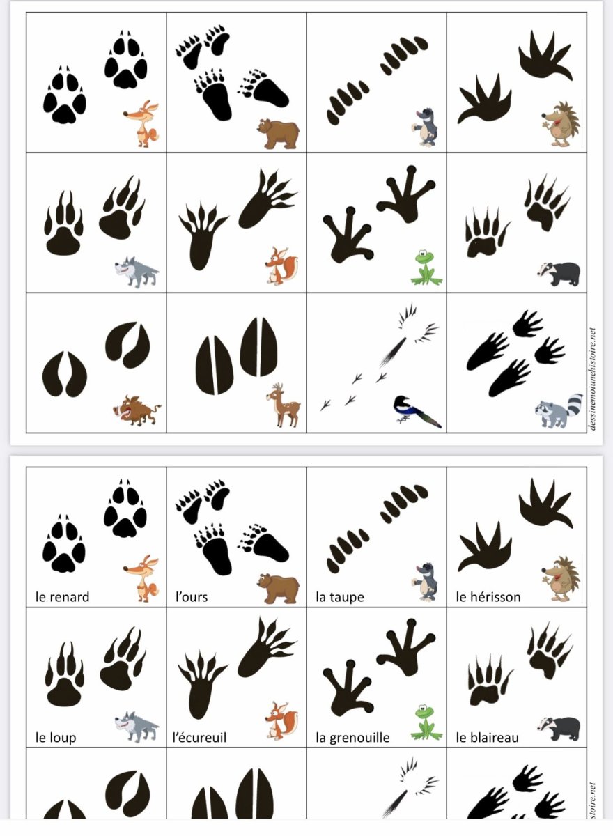 Игра Угадай чьи следы