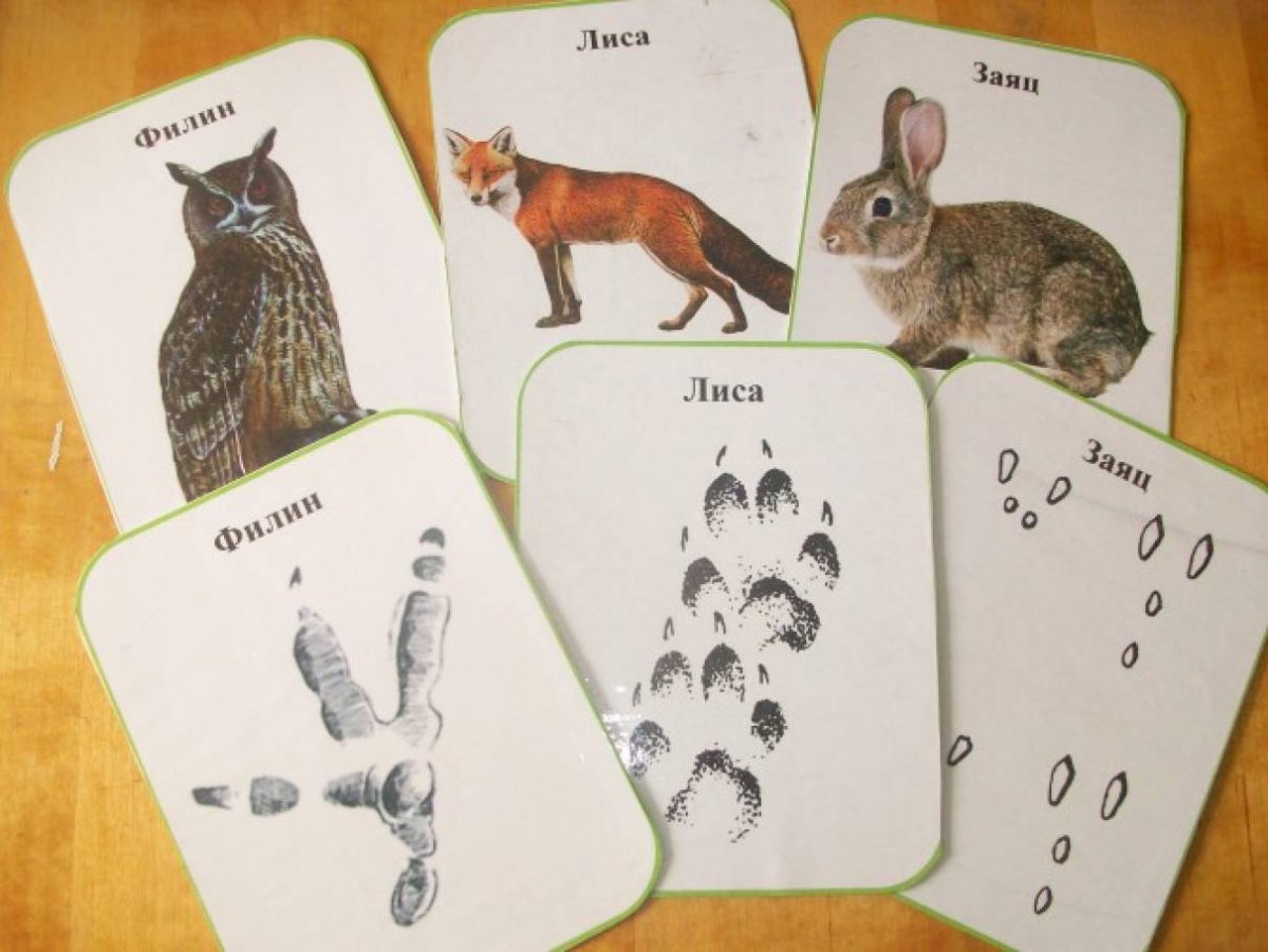Дидактическая игра чьи следы Дикие животные