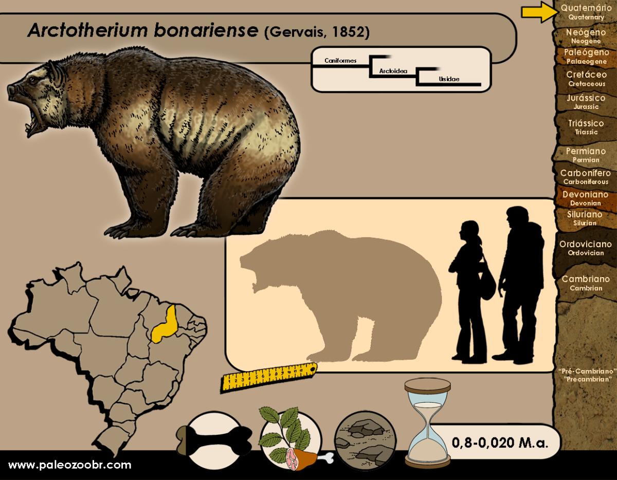 Миацид вульпавус