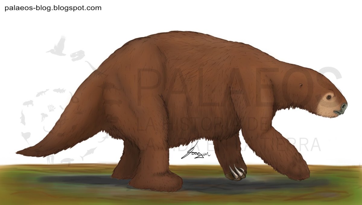 Josephoartigasia Monesi грызун