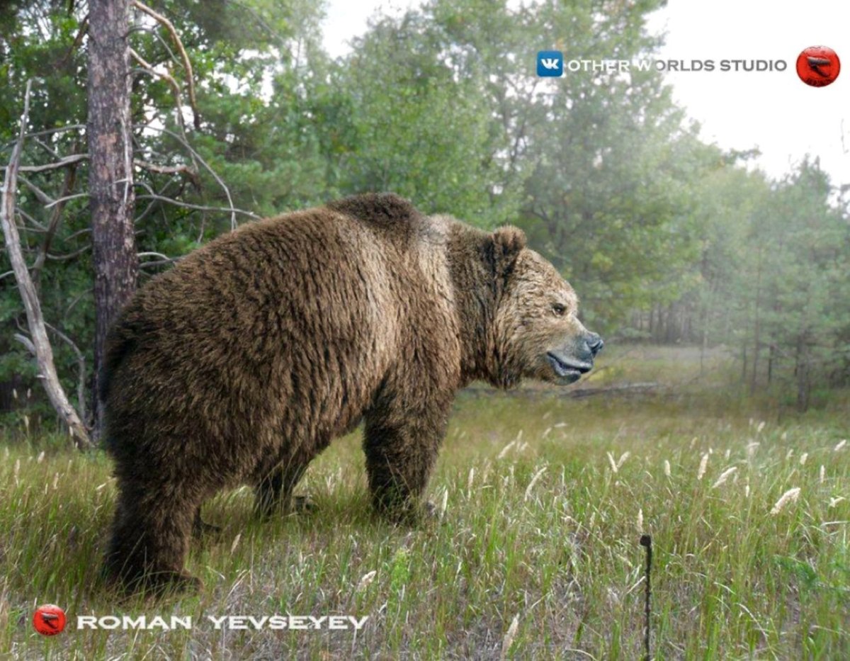 Урсус пещерный медведь