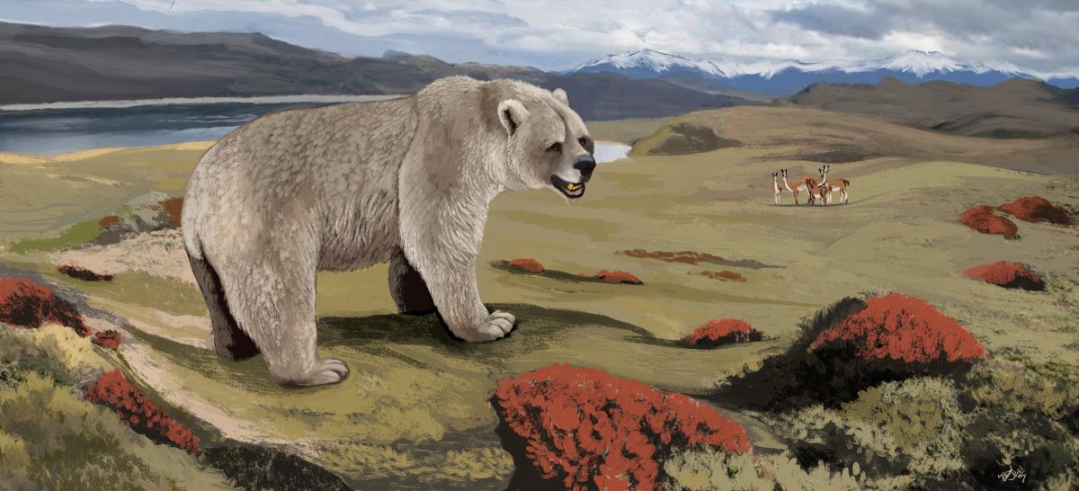Арктотерии вымершие Медвежьи