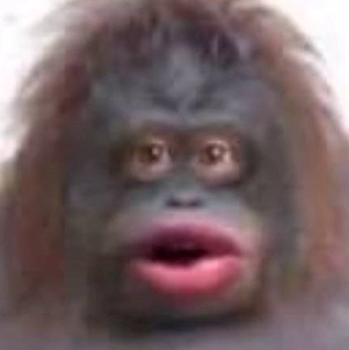 Обезьяна с губами