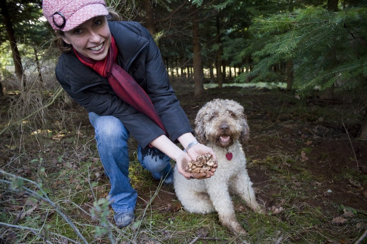 Лаготто романьоло трюфели
