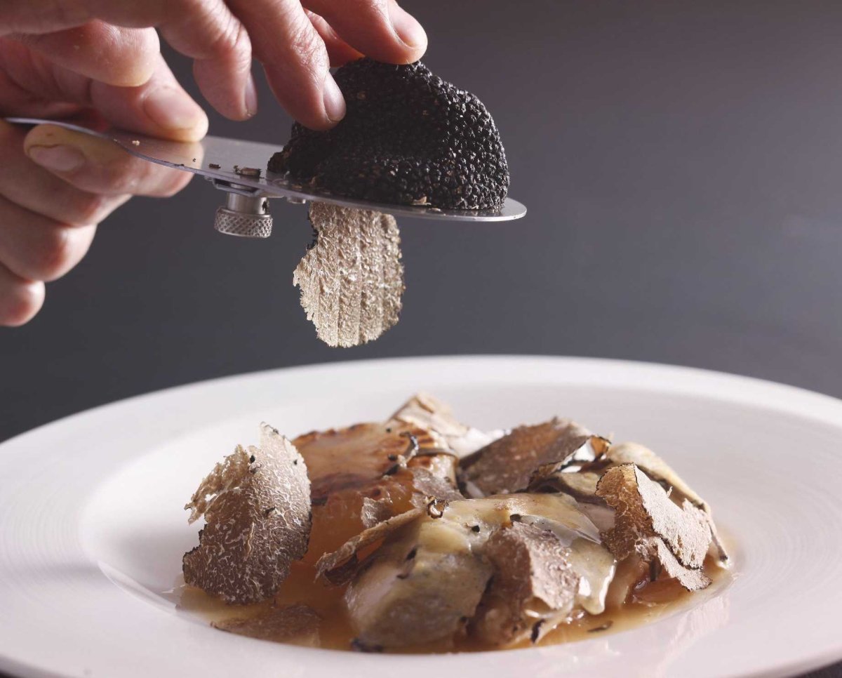 Трюфели грибы во Франции