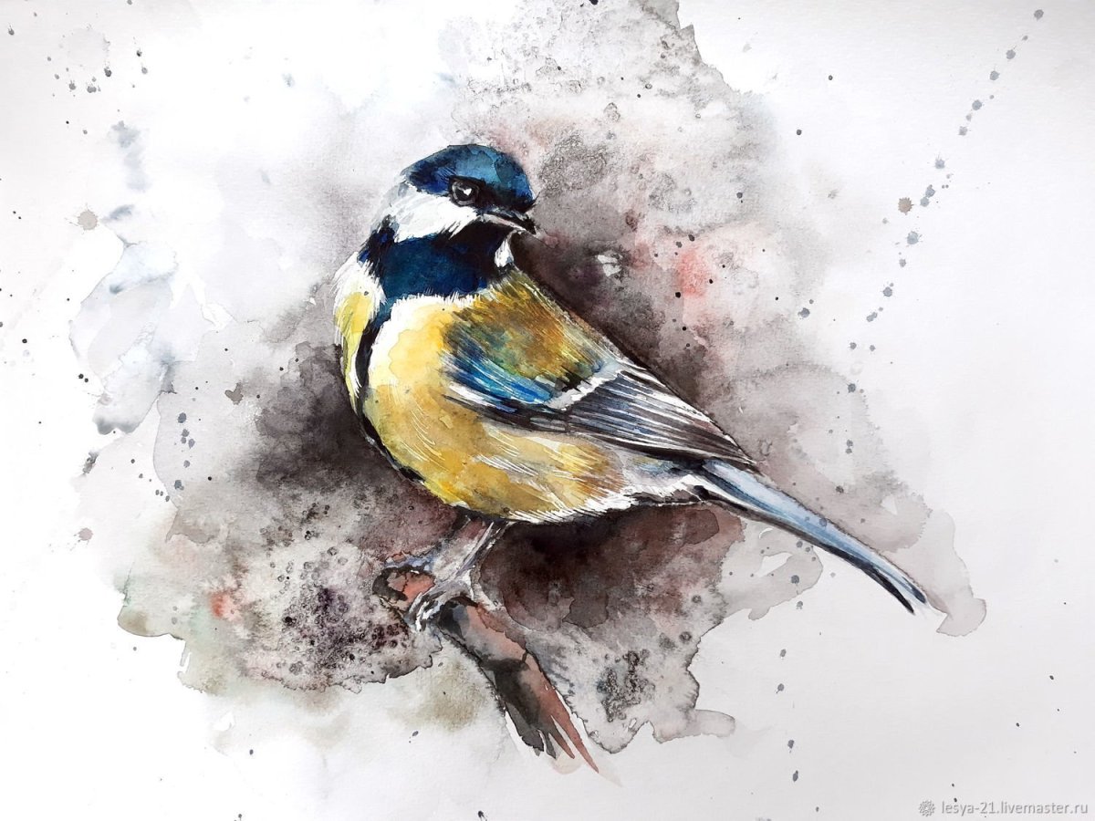 Синица рисунок