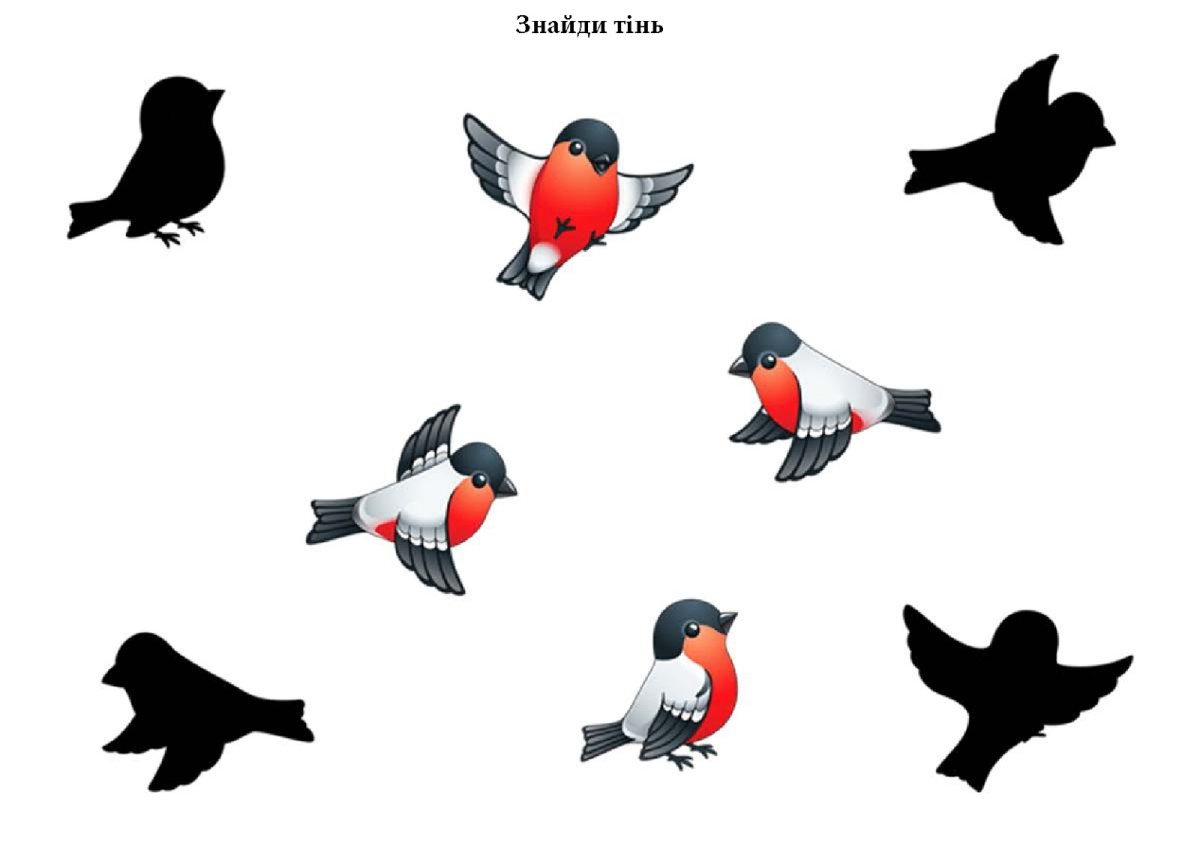 Зимующие птицы Найди тень