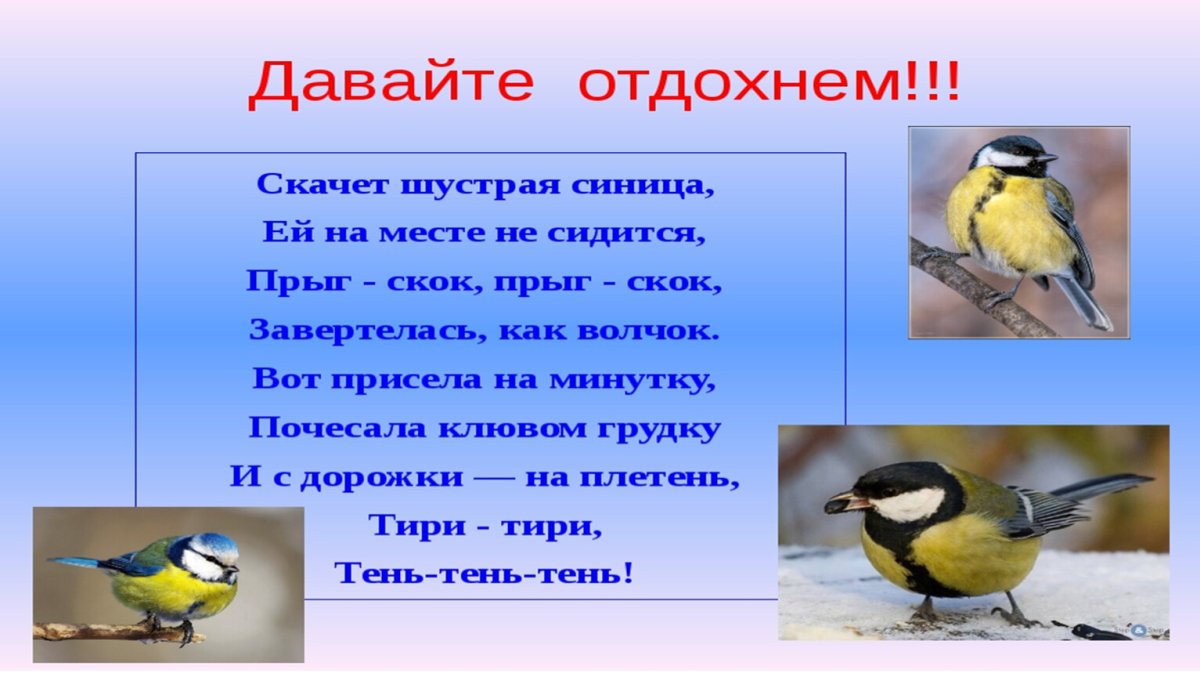 Презентация о птицах для начальной школы