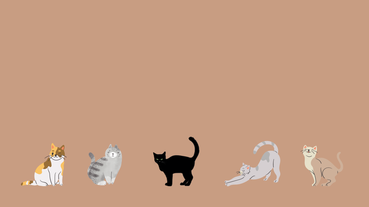 Обои на ПК котики милые