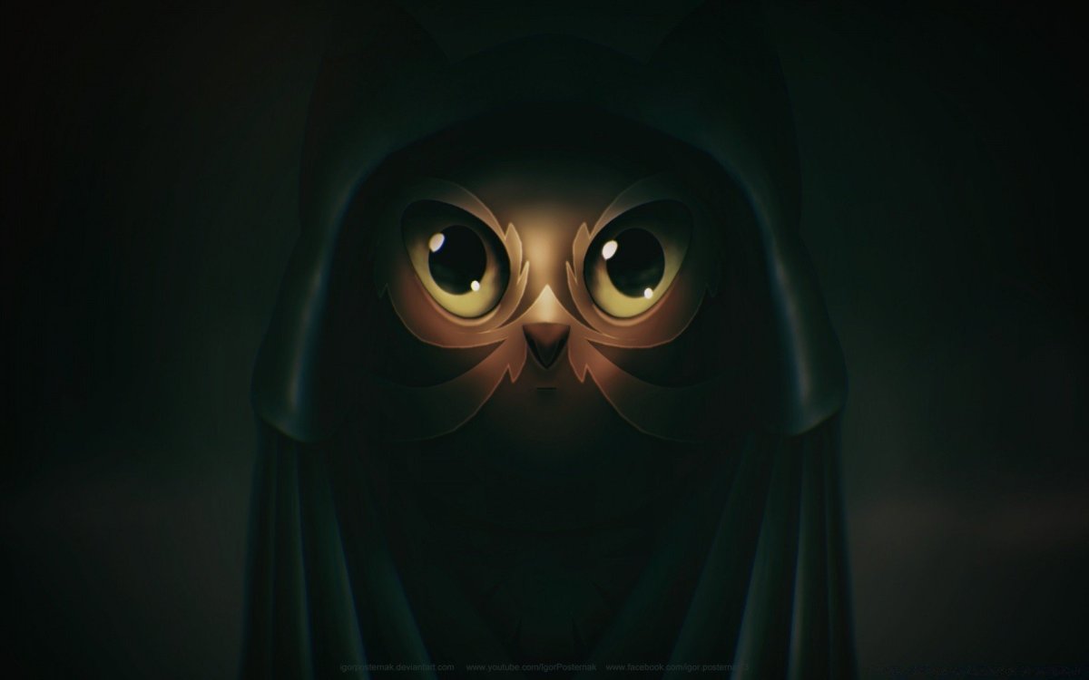 Сова на темном фоне