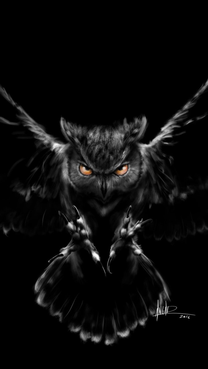 Черный Филин