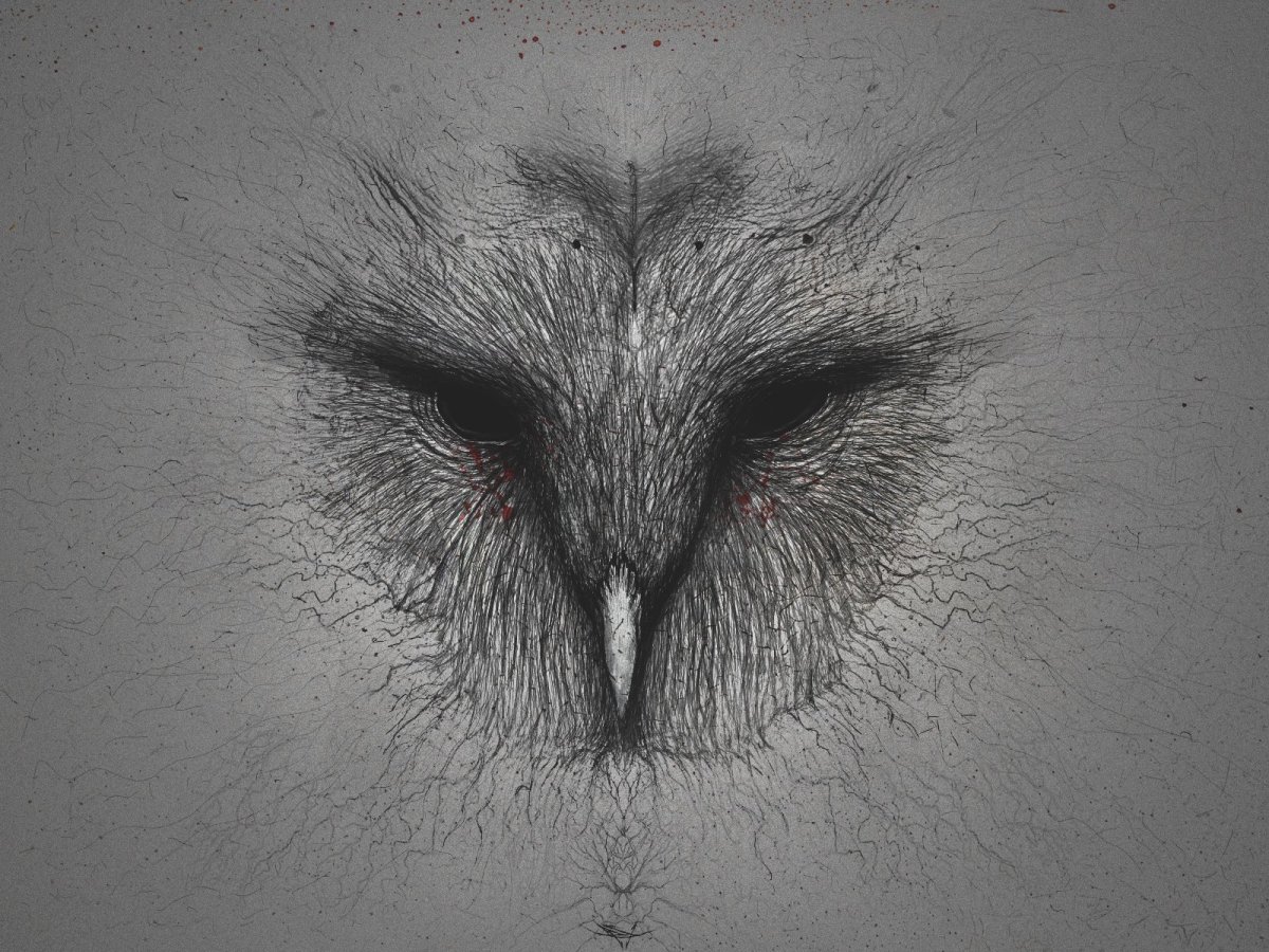 Взгляд птицы