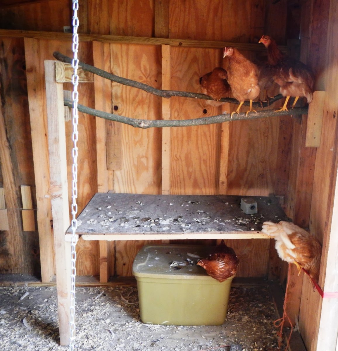Насест для кур несушек
