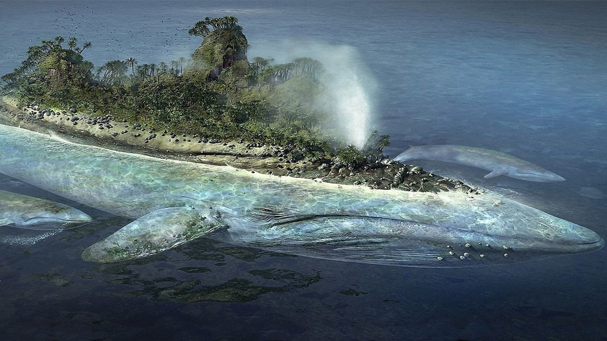 Самый страшный кит в мире