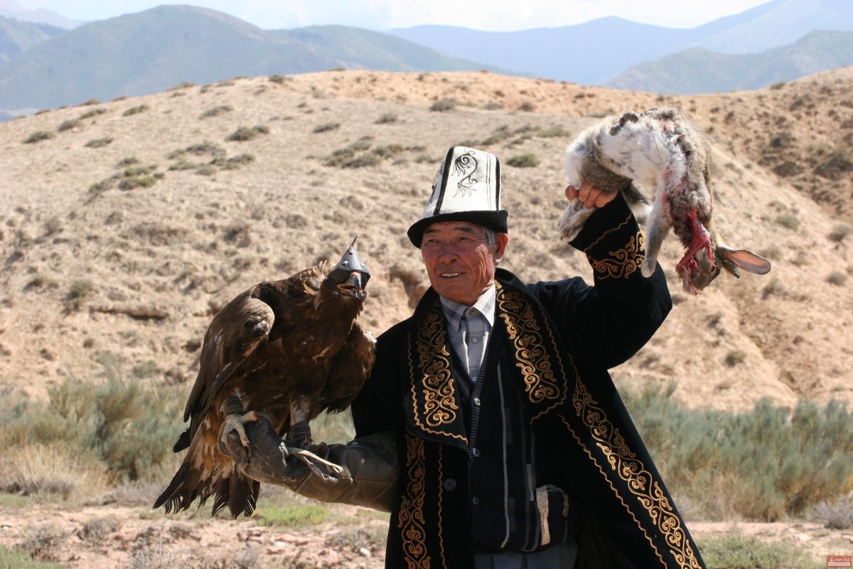 Беркут Орел Киргизия