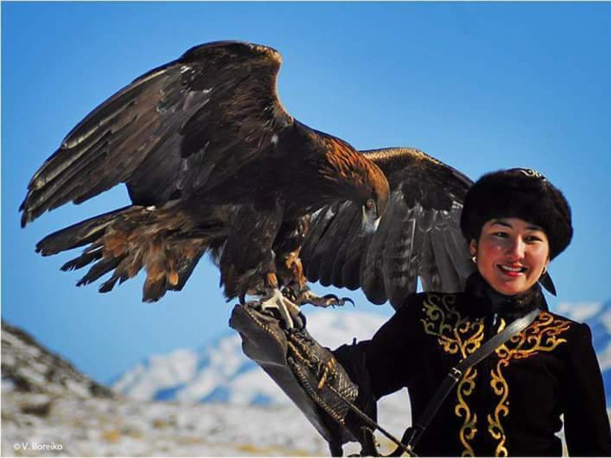 Беркут Киргизия