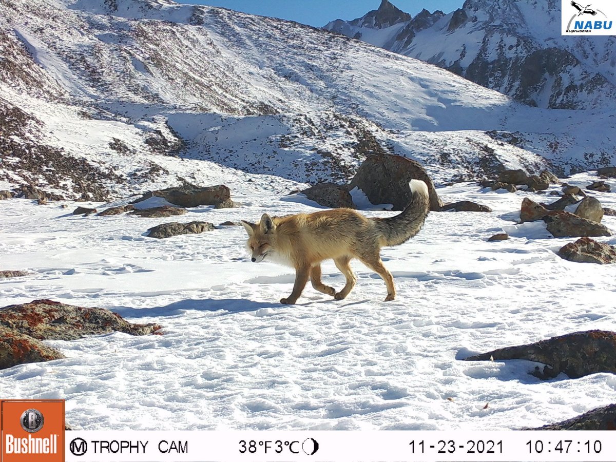 Природа Кыргызстана