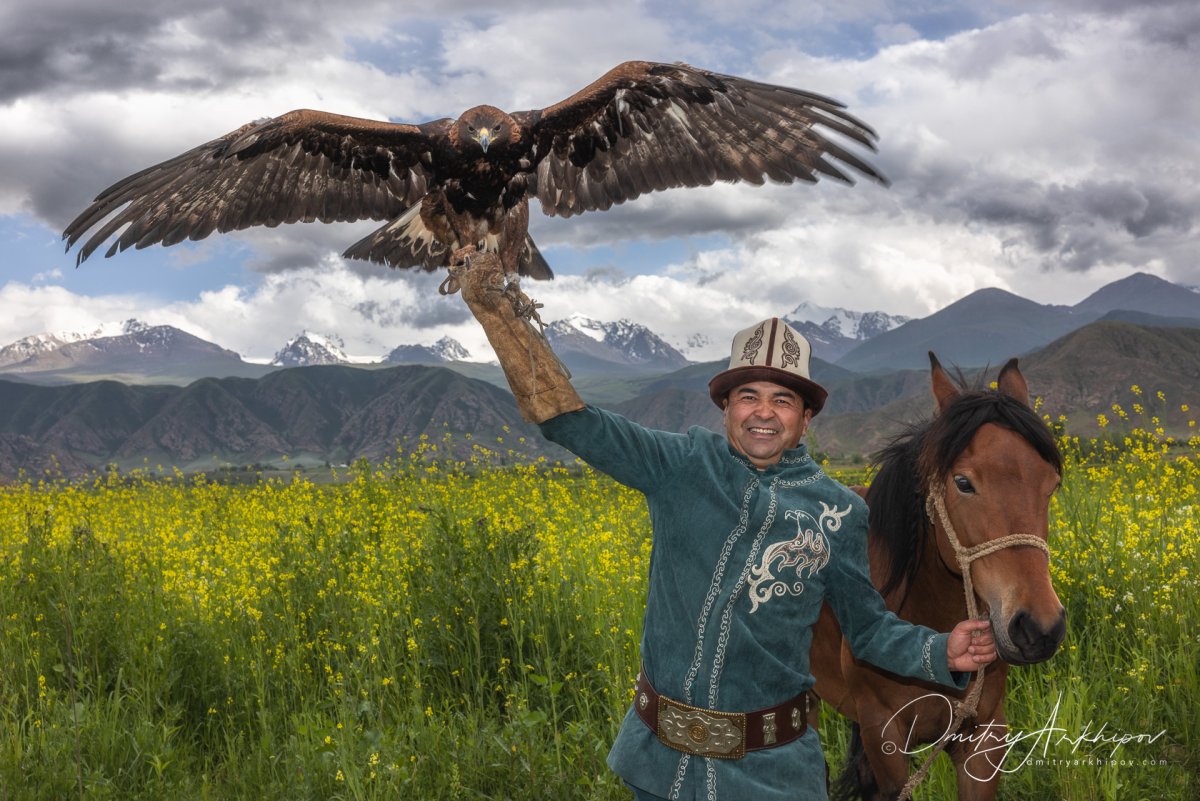Беркут Киргизия