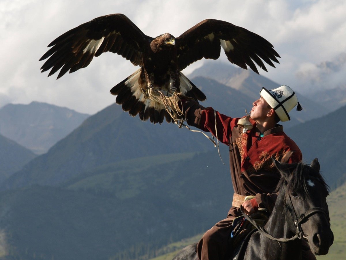 Салбуурун Кыргызстан Беркуты