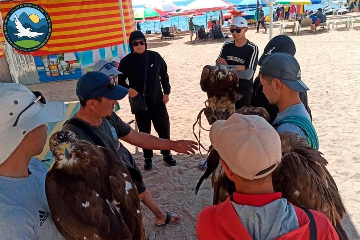 Птицы Кыргызстана