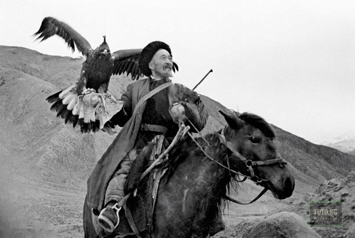 Монголия охота с Беркутом