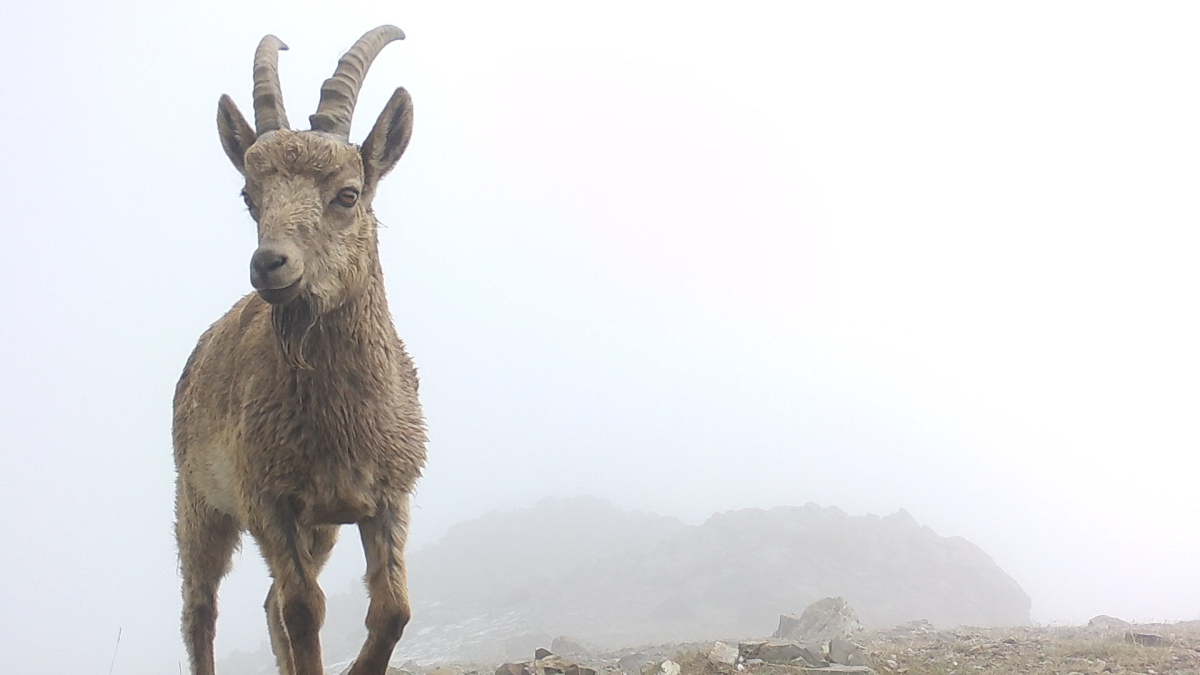 Горы Кыргызстана