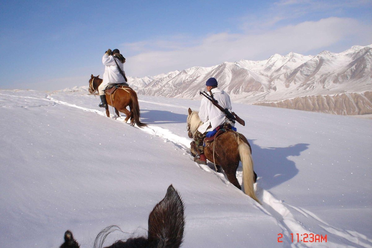 Лошади в горах