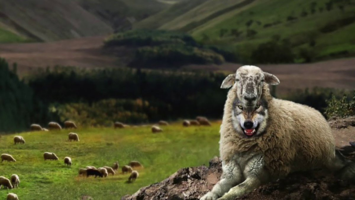 Невинная Овечка