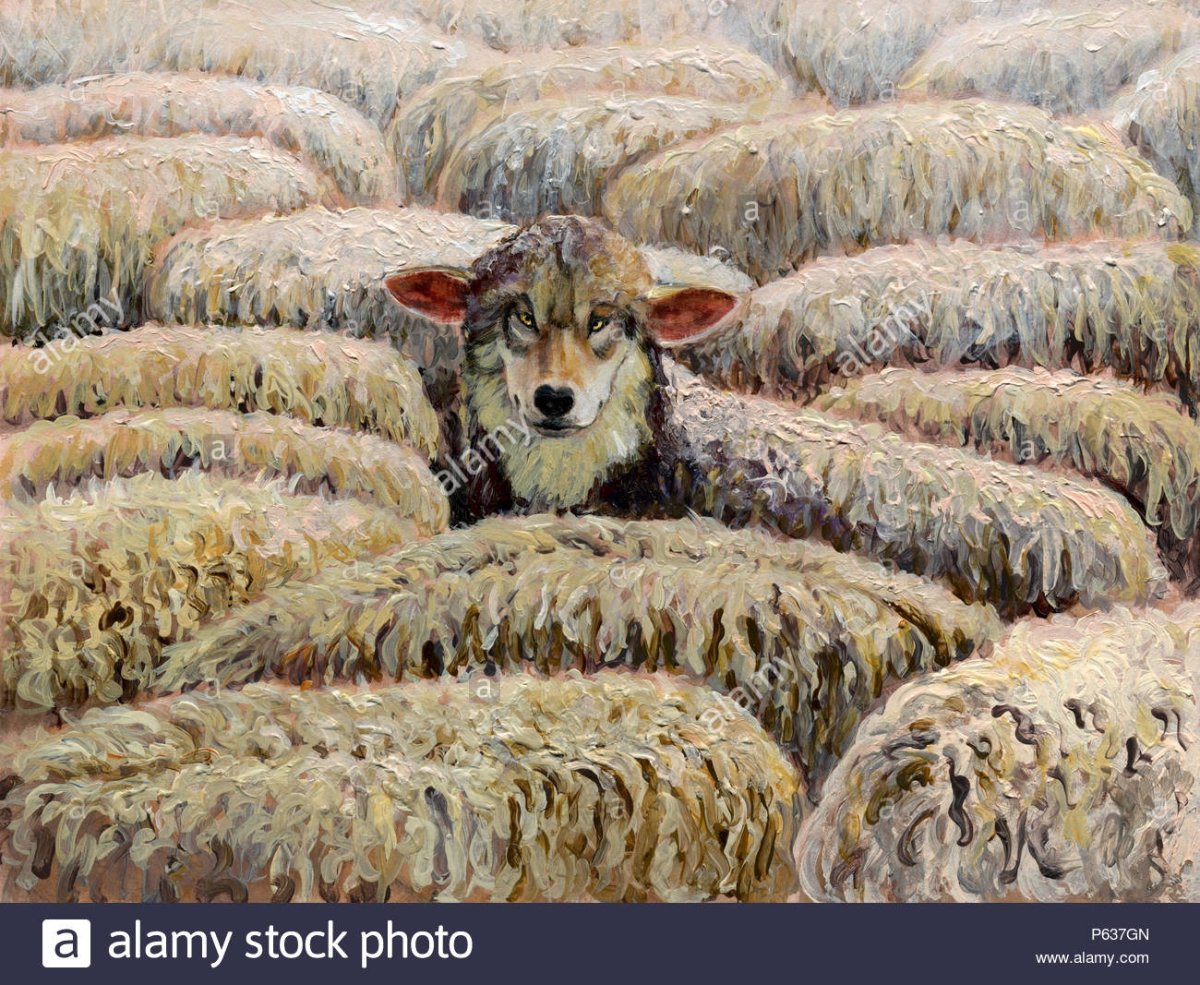 Овечка и волк в овечьей шкуре