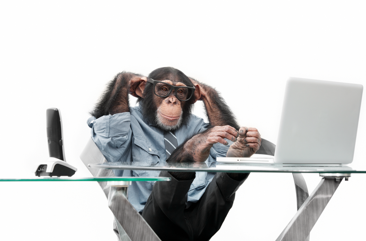 Обезьяна за компом