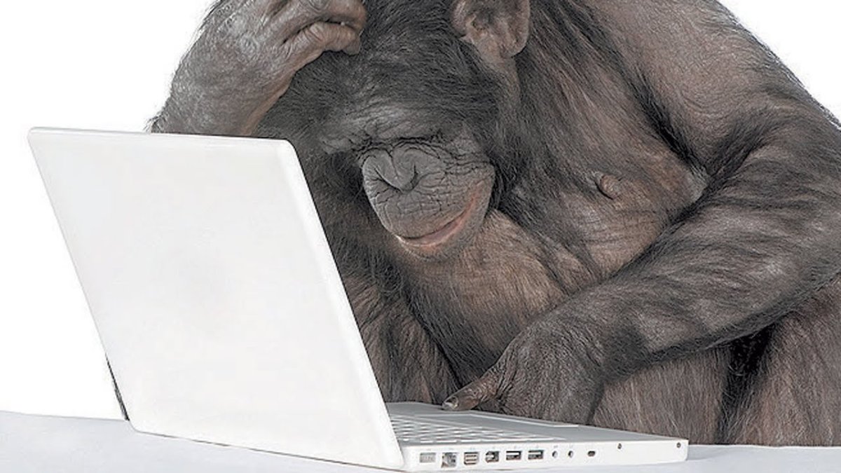 Обезьянка за компьютером