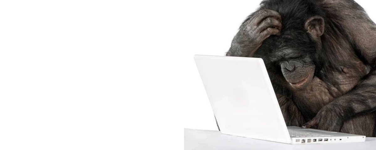 Обезьяна в офисе