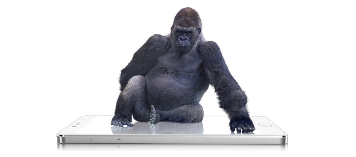 Горилла сидит за компом