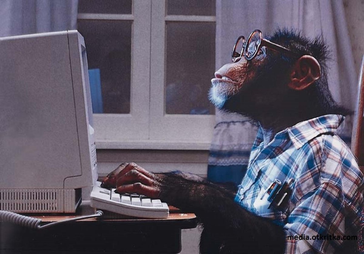 Обезьяна с компьютером