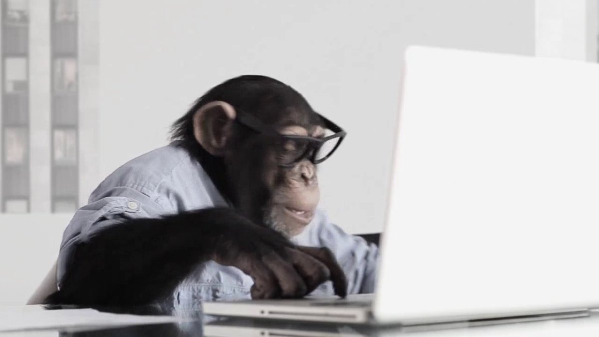 Обезьянка сидит за компом