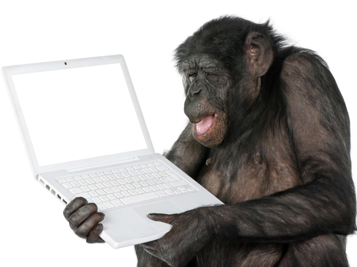 Шимпанзе с ноутбуком