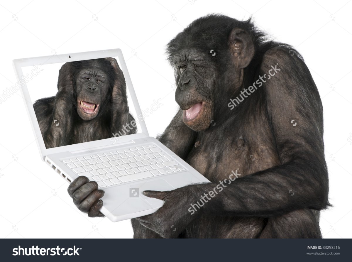 Обезьяна за компом